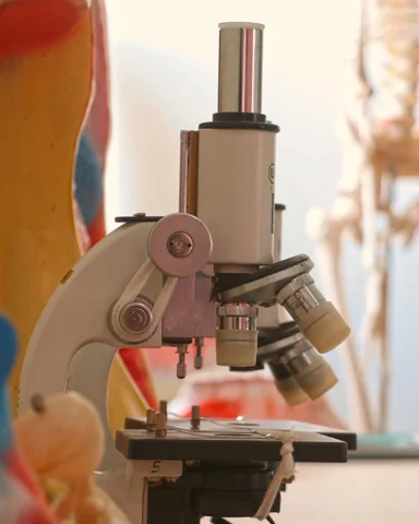 Triumph World School, Electronic City, Bangalore - Science Lab