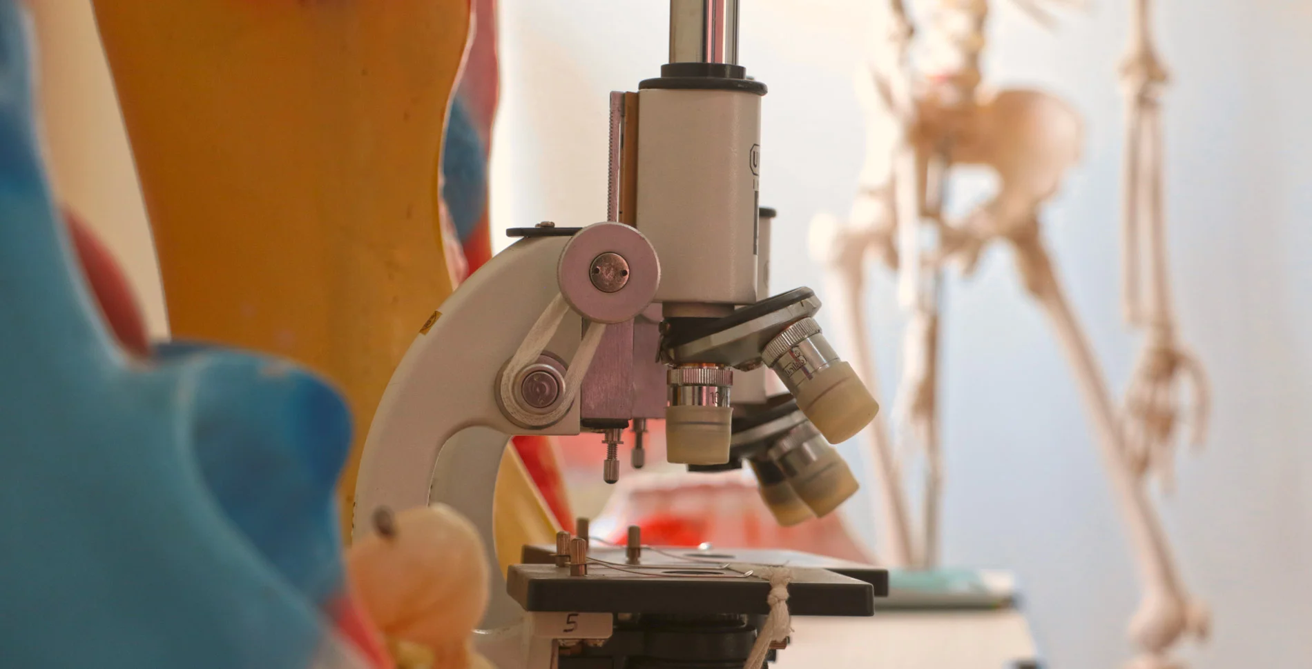 Triumph World School, Electronic City, Bangalore - Science Lab