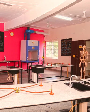 Triumph World School, Electronic City, Bangalore - Science Lab