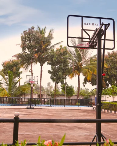 Triumph World School, Electronic City, Bangalore - Basketball Court